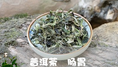 普洱茶 肠胃/2023042977822